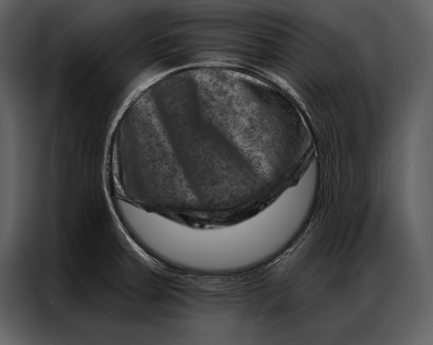 X0000087001379200705071457