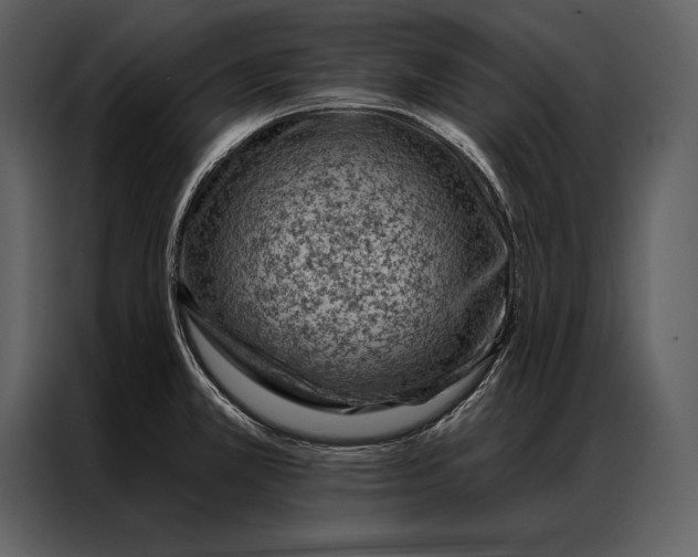 X0000087001381200705071457