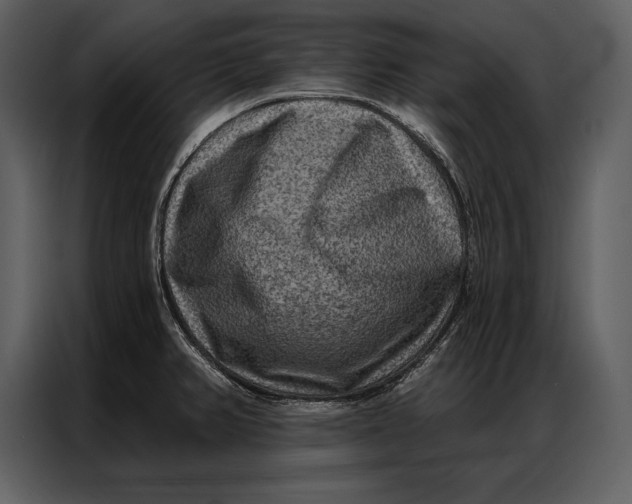 X0000087001382200705071457