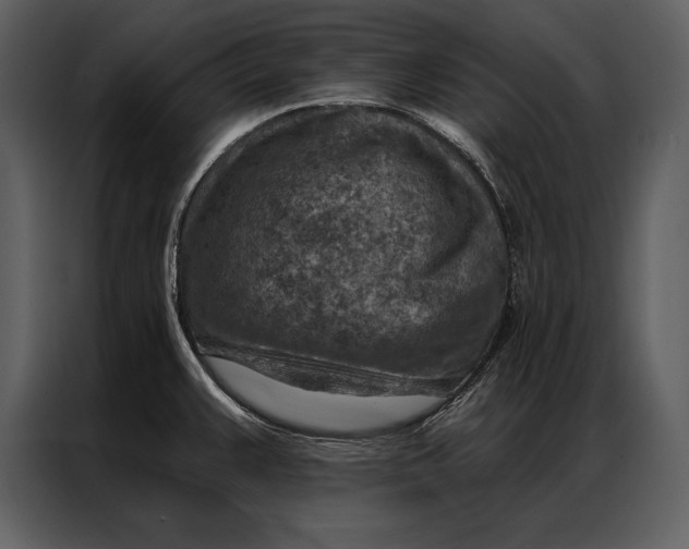 X0000087001383200705071457