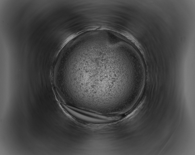 X0000087001385200705071457