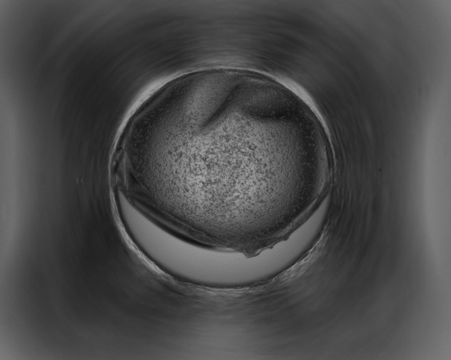 X0000087001389200705071457