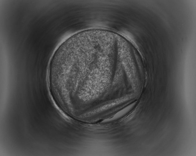 X0000087001391200705071457