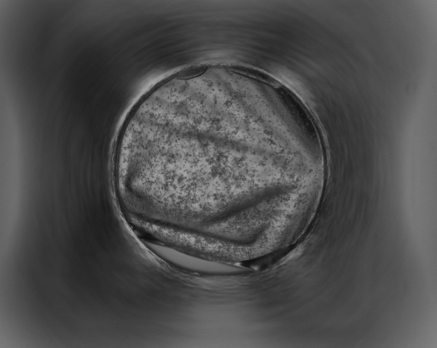 X0000087001392200705071457