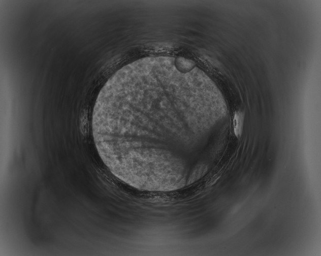 X0000087001395200705071456