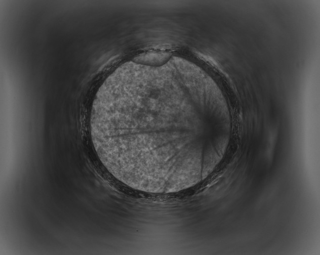 X0000087001399200705071457