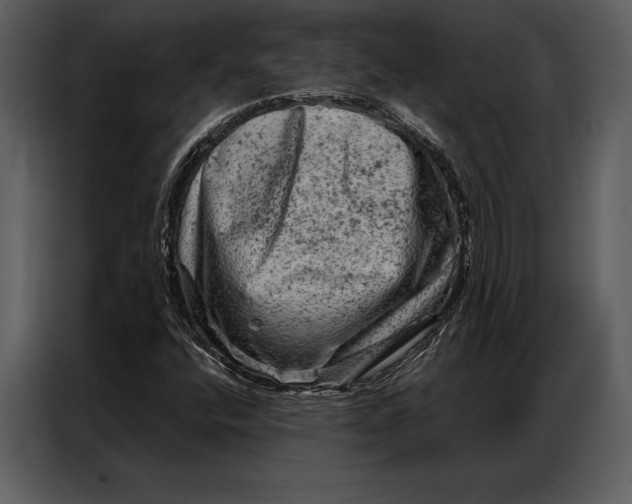 X0000087001400200705071457