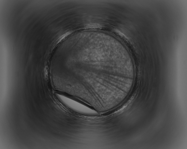 X0000087001401200705071457