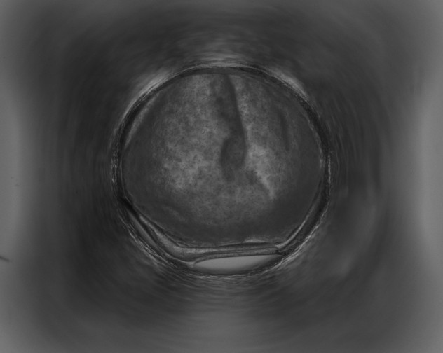 X0000087001405200705071457