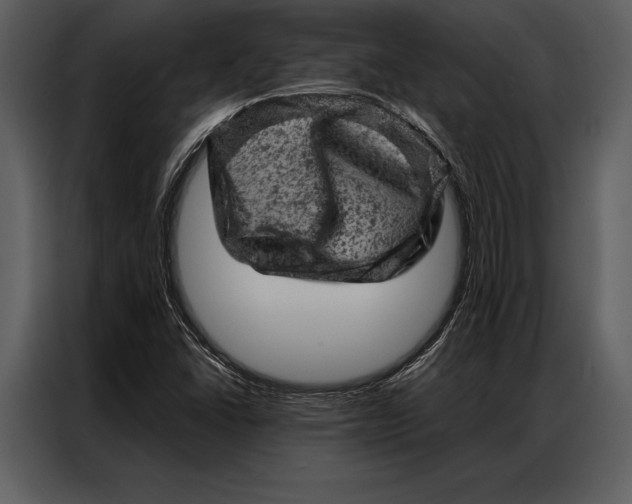 X0000087001406200705071457