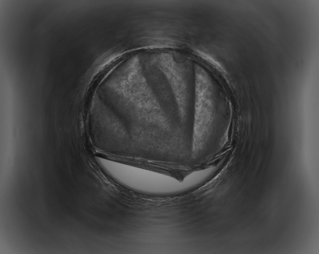 X0000087001407200705071457