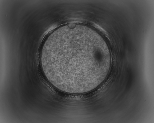 X0000087001411200705071457