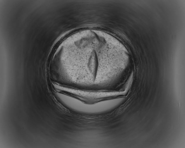 X0000087001412200705071457