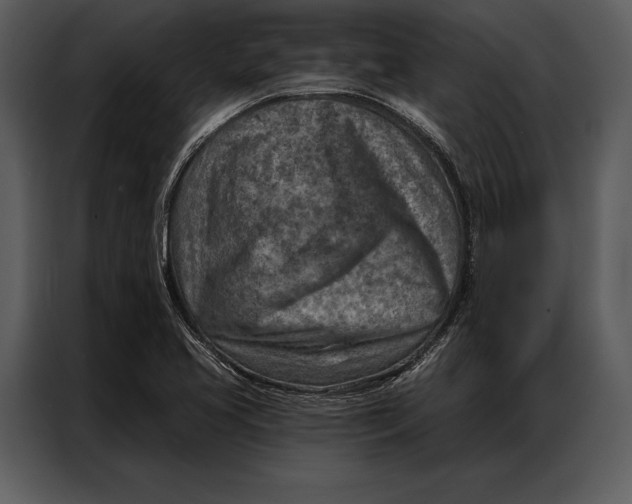 X0000087001413200705071457