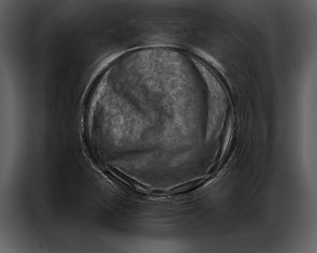 X0000087001415200705071457