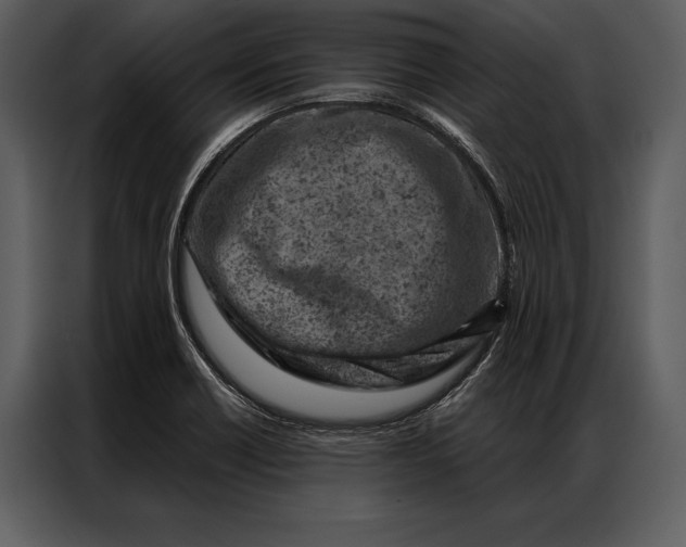 X0000087001418200705071457