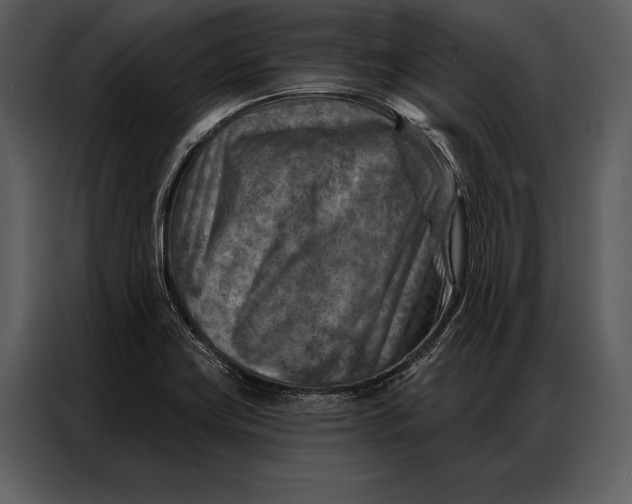 X0000087001419200705071457