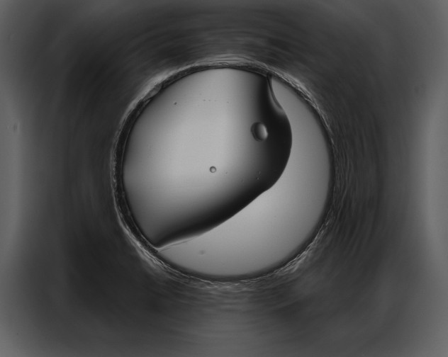 X0000087001422200705071457