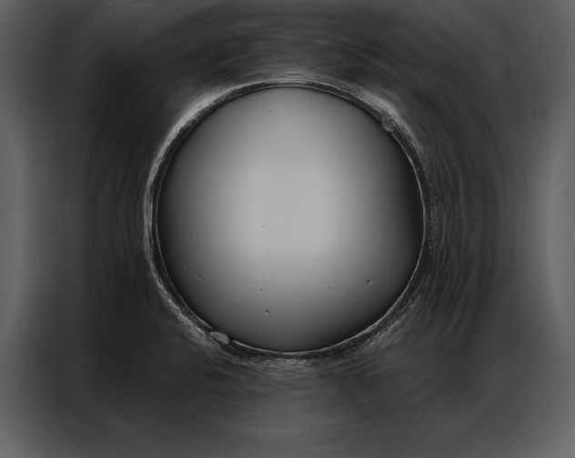 X0000087001424200705071457