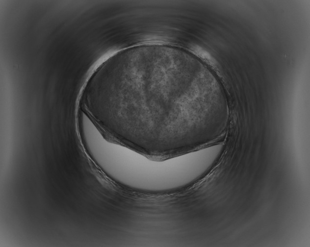 X0000087001427200705071457