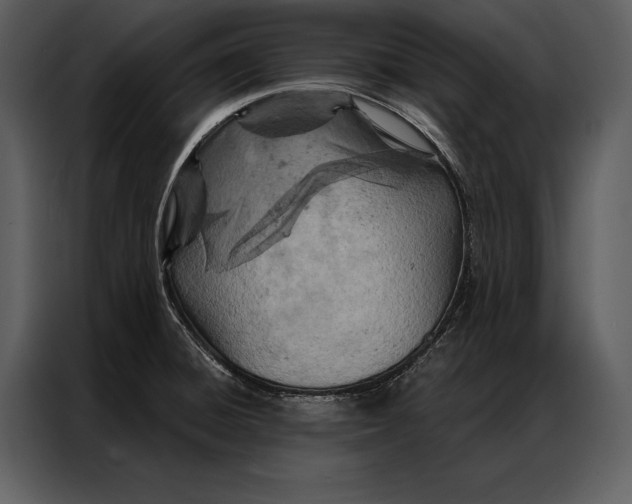 X0000087001428200705071457