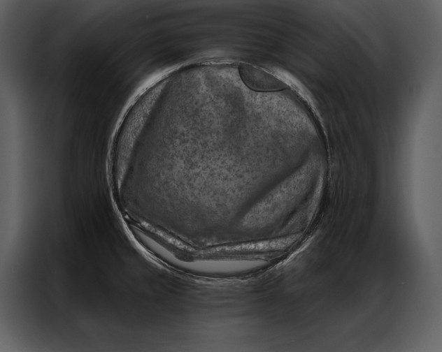 X0000087001429200705071457