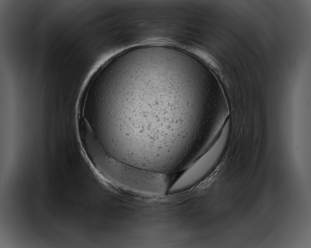 X0000087001430200705071457