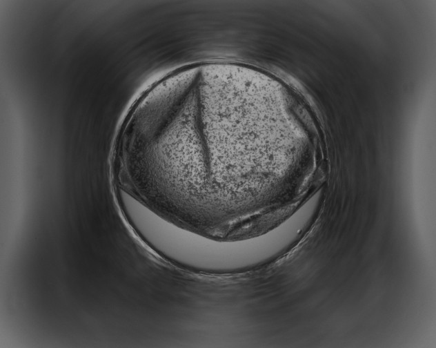 X0000087001432200705071457