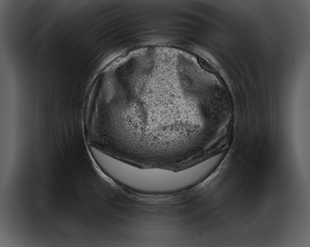 X0000087001433200705071457