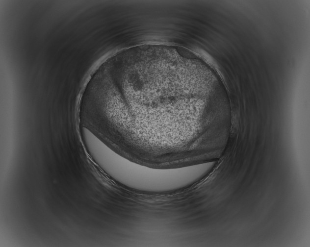 X0000087001435200705071457