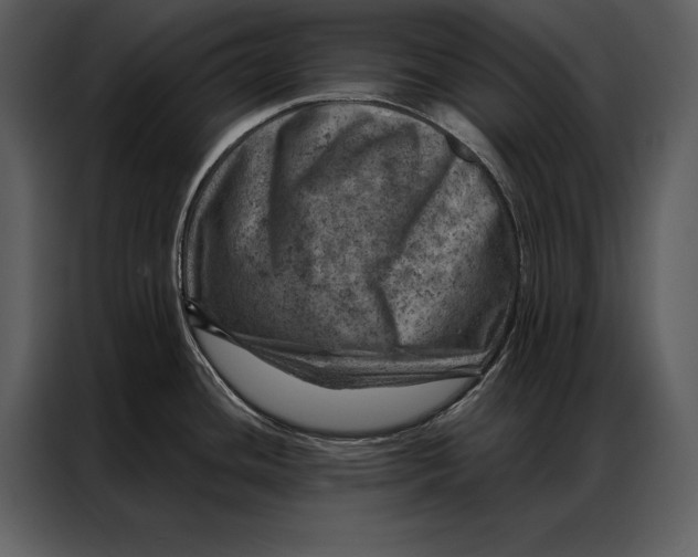 X0000087001436200705071457