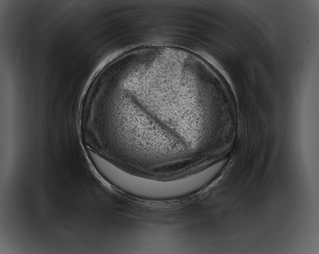 X0000087001437200705071457