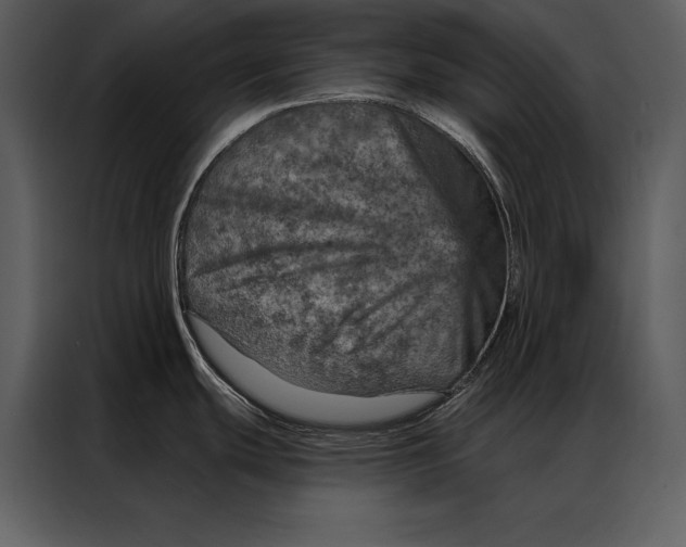 X0000087001439200705071457