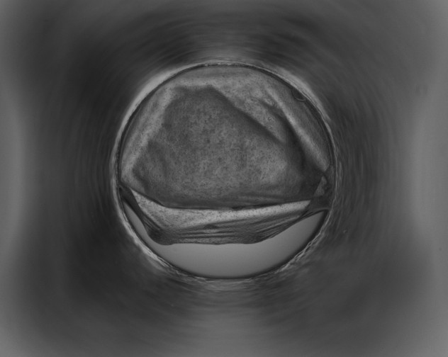 X0000087001440200705071457