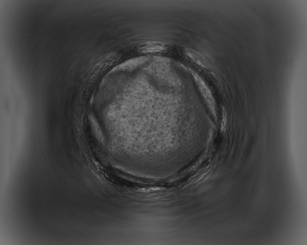 X0000087001441200705071456