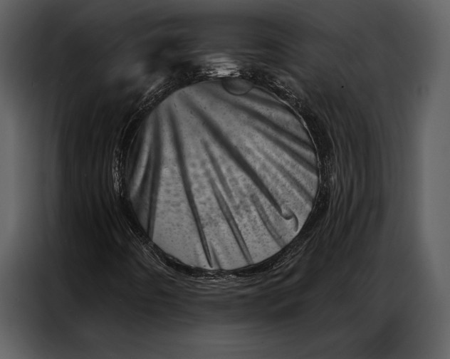 X0000087001442200705071456