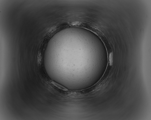 X0000087001443200705071456