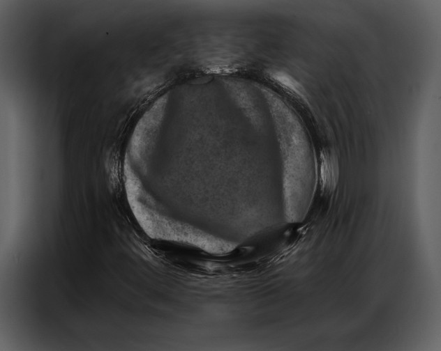 X0000087001444200705071456