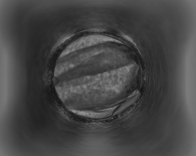 X0000087001448200705071456