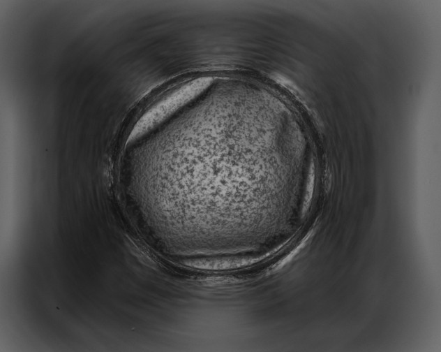 X0000087001449200705071456