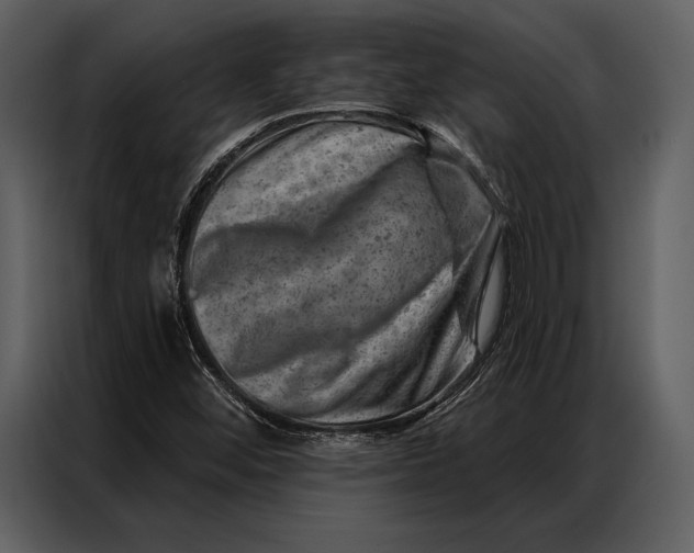 X0000087001452200705071456