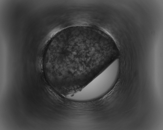 X0000087001455200705071456