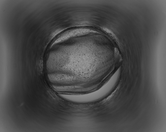 X0000087001457200705071456