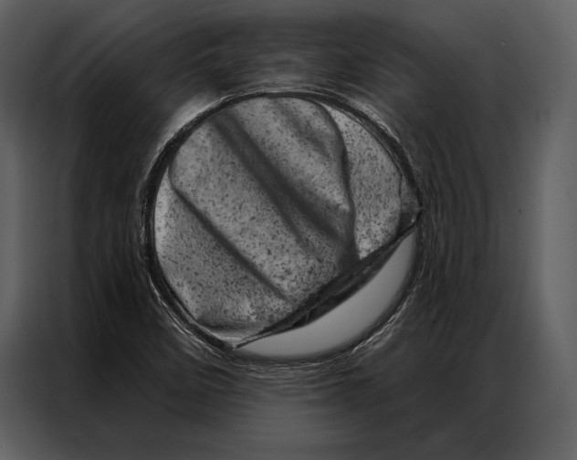 X0000087001458200705071456