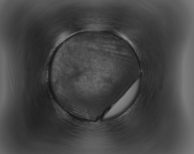 X0000087001459200705071456