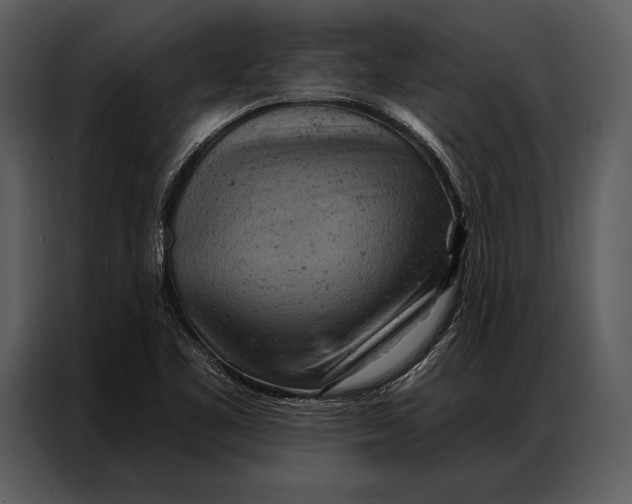 X0000087001461200705071456