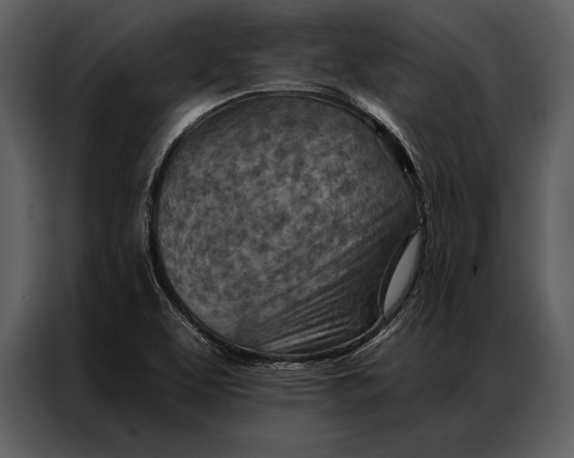 X0000087001463200705071456