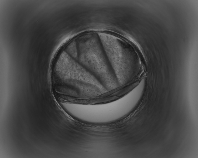 X0000087001464200705071456