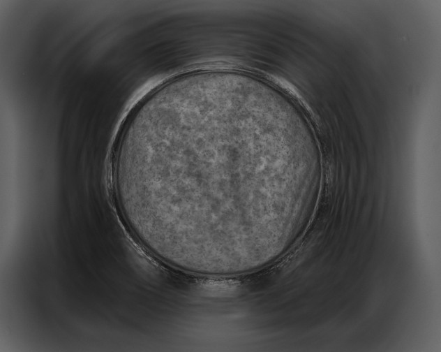 X0000087001466200705071456