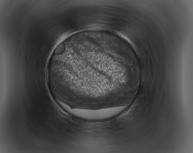 X0000087001467200705071456